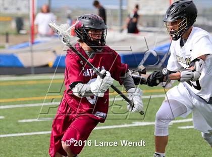 Thumbnail 1 in Chatfield @ Monarch photogallery.