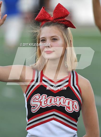 Thumbnail 2 in North Forney @ Creekview photogallery.