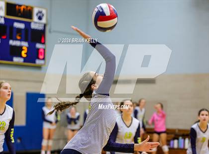 Thumbnail 1 in Oliver Ames @ Notre Dame Academy	 photogallery.