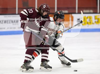 Thumbnail 3 in Grandville @ Houghton photogallery.