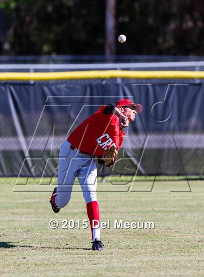 Thumbnail 3 in Strawberry Crest @ Trinity Christian Academy photogallery.