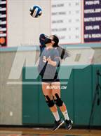 Photo from the gallery "St. Francis vs. Cosumnes Oaks (CIF SJS D1 Semifinal)"