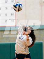 Photo from the gallery "St. Francis vs. Cosumnes Oaks (CIF SJS D1 Semifinal)"