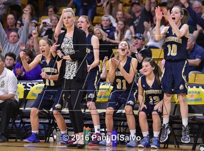Thumbnail 2 in Evergreen vs. Sand Creek (CHSAA 4A Semifinal) photogallery.
