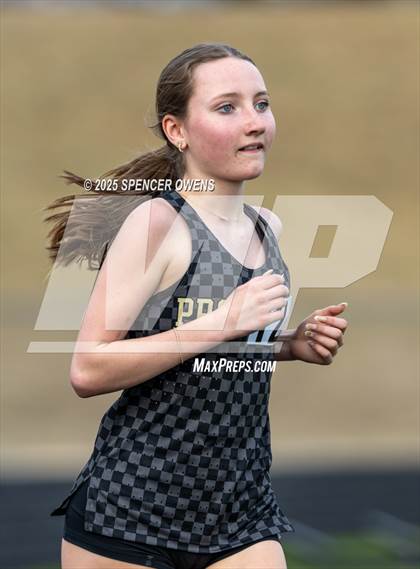 Thumbnail 3 in Puma Outdoor Opener photogallery.