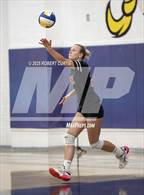 Photo from the gallery "Hart @ Valencia"