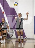 Photo from the gallery "Hart @ Valencia"