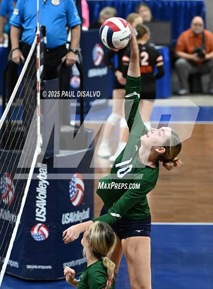 Thumbnail 1 in Pine Creek vs. Loveland (CHSAA 5A 1st Round) photogallery.