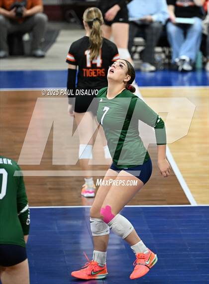 Thumbnail 2 in Pine Creek vs. Loveland (CHSAA 5A 1st Round) photogallery.