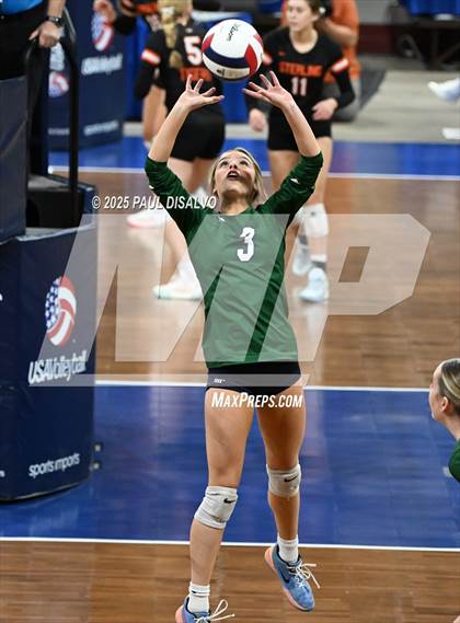 Thumbnail 3 in Pine Creek vs. Loveland (CHSAA 5A 1st Round) photogallery.