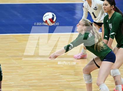 Thumbnail 2 in Pine Creek vs. Loveland (CHSAA 5A 1st Round) photogallery.