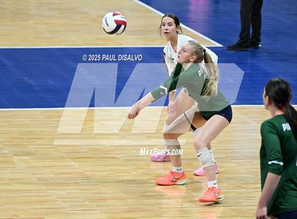 Thumbnail 1 in Pine Creek vs. Loveland (CHSAA 5A 1st Round) photogallery.