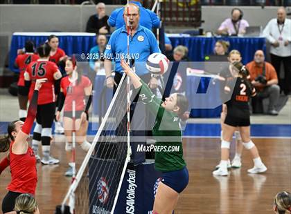 Thumbnail 2 in Pine Creek vs. Loveland (CHSAA 5A 1st Round) photogallery.