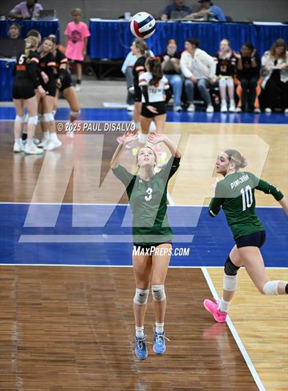 Thumbnail 1 in Pine Creek vs. Loveland (CHSAA 5A 1st Round) photogallery.