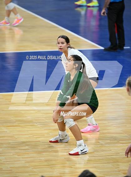 Thumbnail 2 in Pine Creek vs. Loveland (CHSAA 5A 1st Round) photogallery.