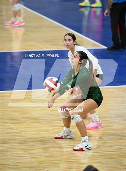 Thumbnail 3 in Pine Creek vs. Loveland (CHSAA 5A 1st Round) photogallery.