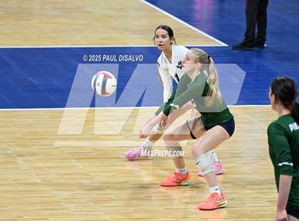 Thumbnail 1 in Pine Creek vs. Loveland (CHSAA 5A 1st Round) photogallery.