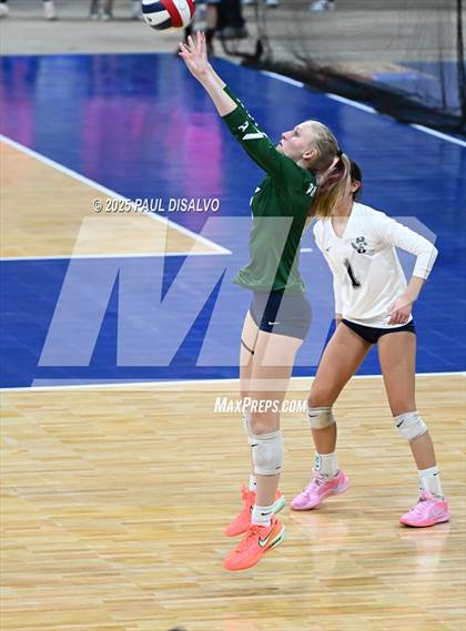 Thumbnail 1 in Pine Creek vs. Loveland (CHSAA 5A 1st Round) photogallery.