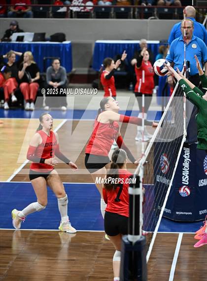 Thumbnail 2 in Pine Creek vs. Loveland (CHSAA 5A 1st Round) photogallery.