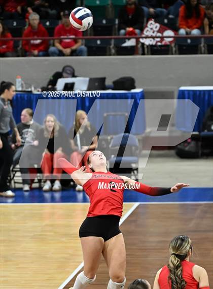 Thumbnail 2 in Pine Creek vs. Loveland (CHSAA 5A 1st Round) photogallery.