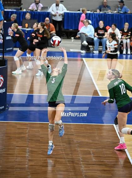 Thumbnail 3 in Pine Creek vs. Loveland (CHSAA 5A 1st Round) photogallery.