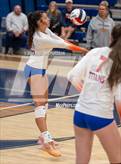 Photo from the gallery "Ponderosa @ Legend"