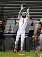 Photo from the gallery "Evergreen @ Green Mountain"