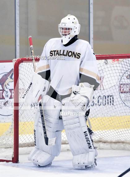 Thumbnail 1 in Shadow Ridge vs Basha (AHSHA Quarter Final) photogallery.