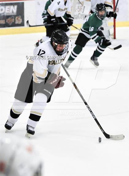 Thumbnail 3 in Shadow Ridge vs Basha (AHSHA Quarter Final) photogallery.