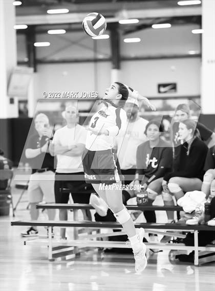 Thumbnail 3 in Xavier College Prep vs. Los Alamitos (Nike TOC Southwest) photogallery.