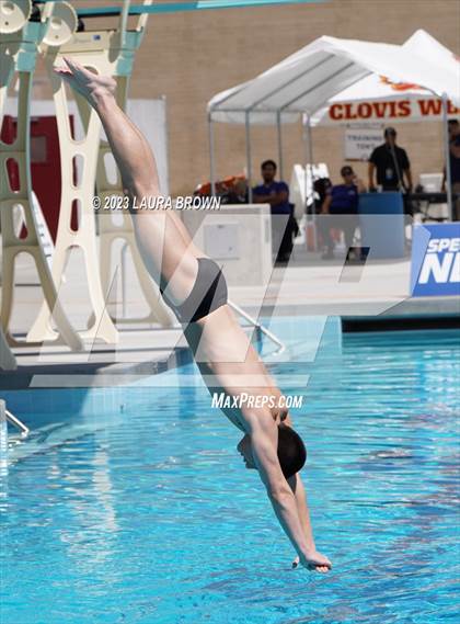 Thumbnail 1 in CIF Diving Finals photogallery.