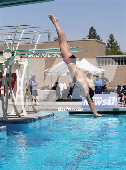 Thumbnail 1 in CIF Diving Finals photogallery.