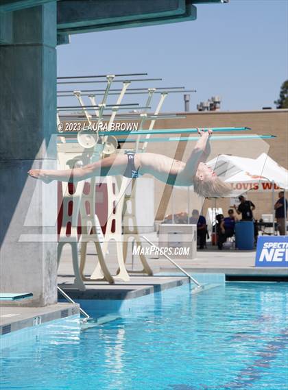 Thumbnail 1 in CIF Diving Finals photogallery.