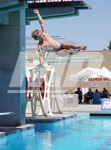 Thumbnail 2 in CIF Diving Finals photogallery.