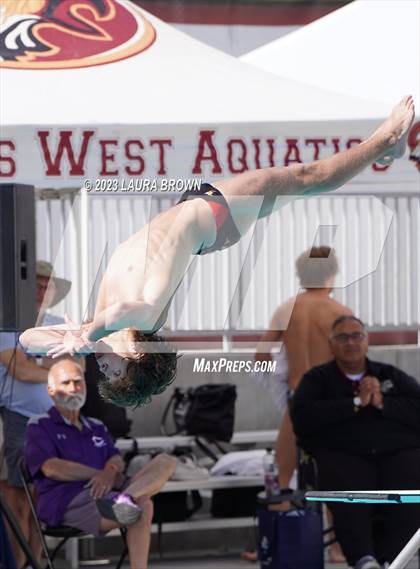 Thumbnail 2 in CIF Diving Finals photogallery.