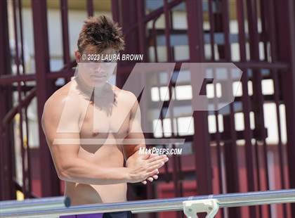 Thumbnail 2 in CIF Diving Finals photogallery.