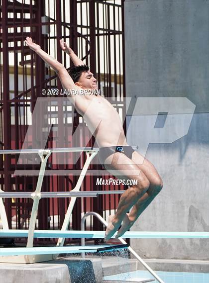 Thumbnail 1 in CIF Diving Finals photogallery.