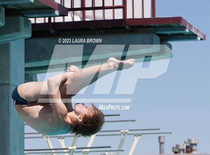 Thumbnail 3 in CIF Diving Finals photogallery.
