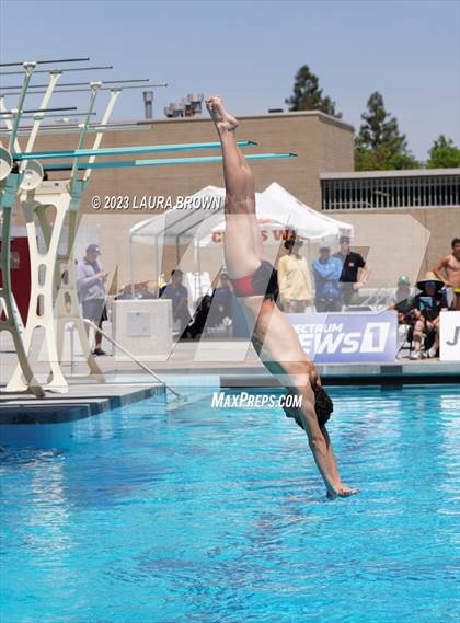 Thumbnail 2 in CIF Diving Finals photogallery.