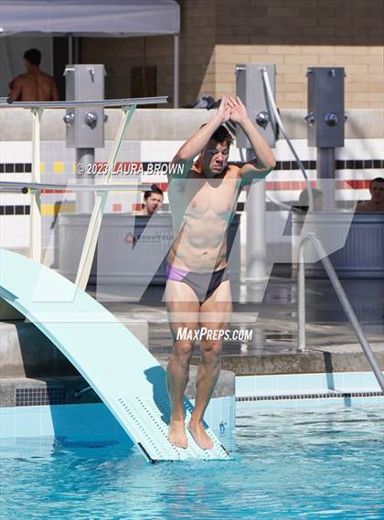 Thumbnail 2 in CIF Diving Finals photogallery.