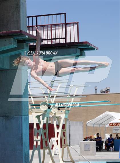 Thumbnail 1 in CIF Diving Finals photogallery.