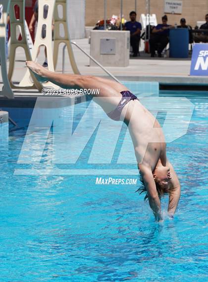 Thumbnail 2 in CIF Diving Finals photogallery.