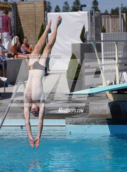 Thumbnail 1 in CIF Diving Finals photogallery.