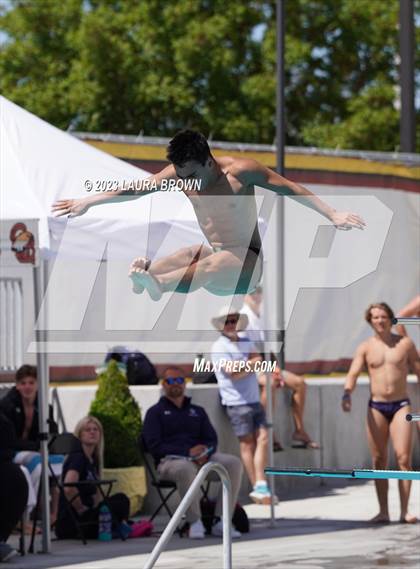Thumbnail 2 in CIF Diving Finals photogallery.