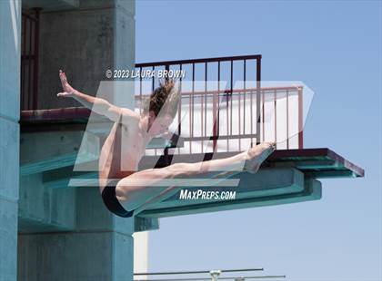 Thumbnail 2 in CIF Diving Finals photogallery.