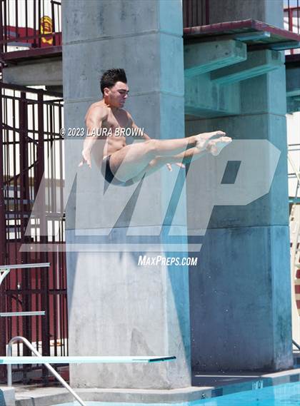 Thumbnail 1 in CIF Diving Finals photogallery.