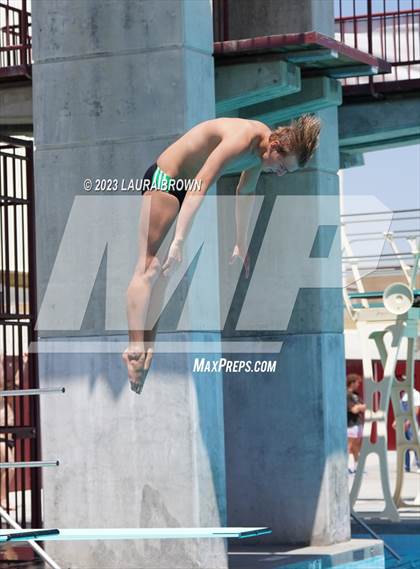 Thumbnail 2 in CIF Diving Finals photogallery.