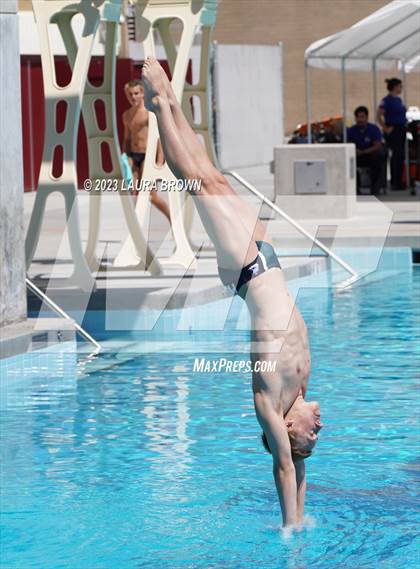 Thumbnail 1 in CIF Diving Finals photogallery.