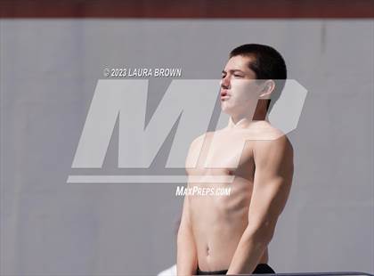 Thumbnail 1 in CIF Diving Finals photogallery.