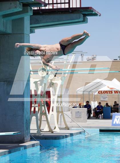 Thumbnail 1 in CIF Diving Finals photogallery.